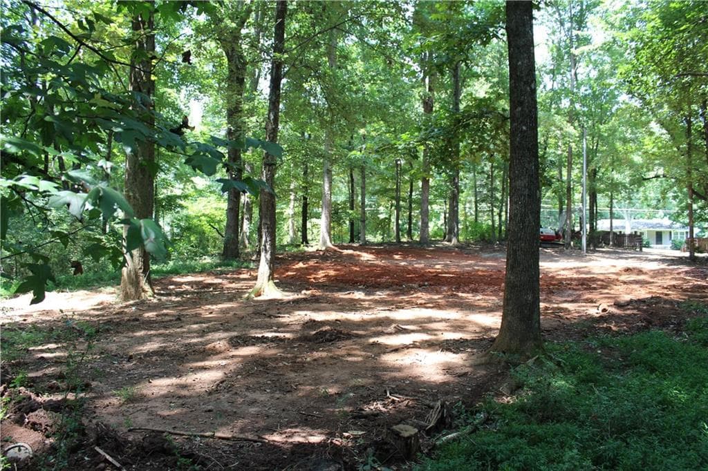 unimproved land for sale at 3575 Pleasant Grove Road, Cumming, GA 30028 — photo 6