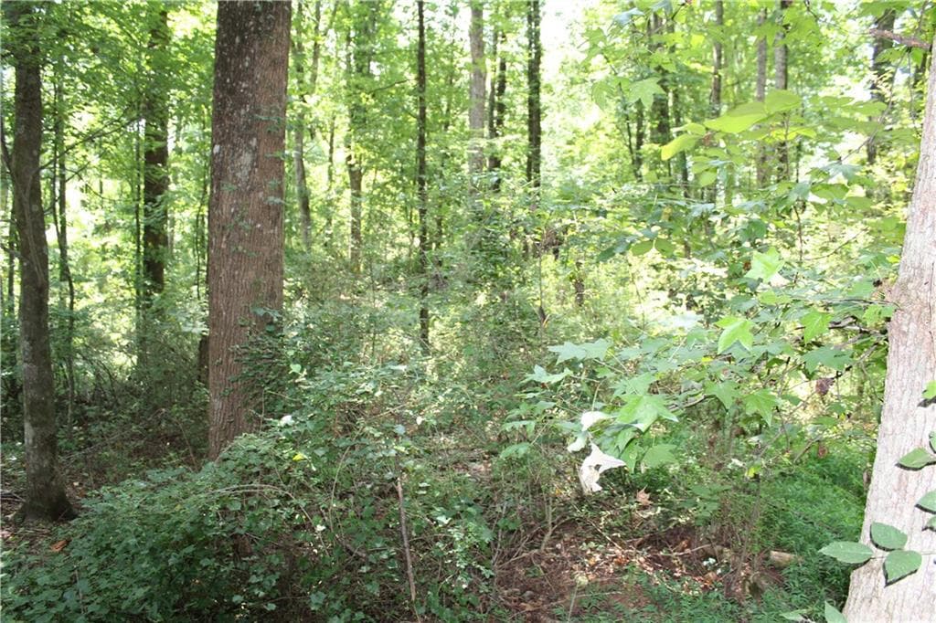 unimproved land for sale at 3575 Pleasant Grove Road, Cumming, GA 30028 — photo 9