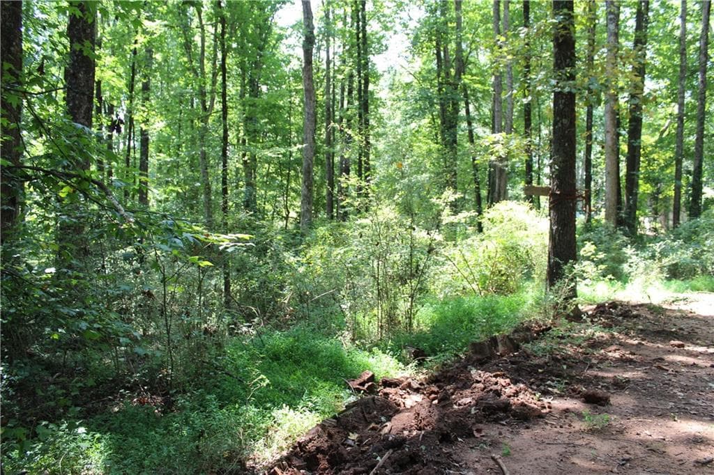 unimproved land for sale at 3575 Pleasant Grove Road, Cumming, GA 30028 — photo 10