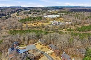 4 bedroom, 3 bathroom, 3,861 sq ft single family residence for sale at 6086 Governors Walk Drive, Canton, GA 30115 — photo 6
