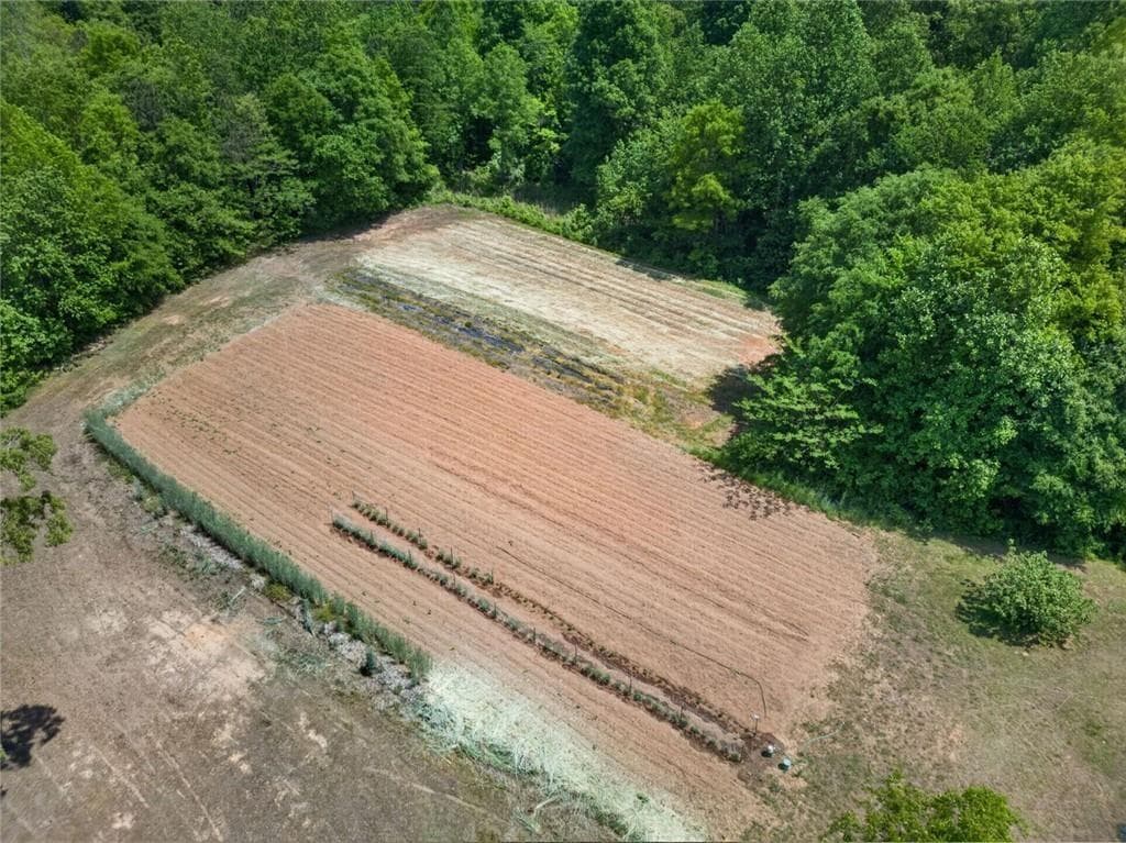 3 bedroom, 2 bathroom unimproved land for sale at 3982 Pool Road, Winston, GA 30187 — photo 5