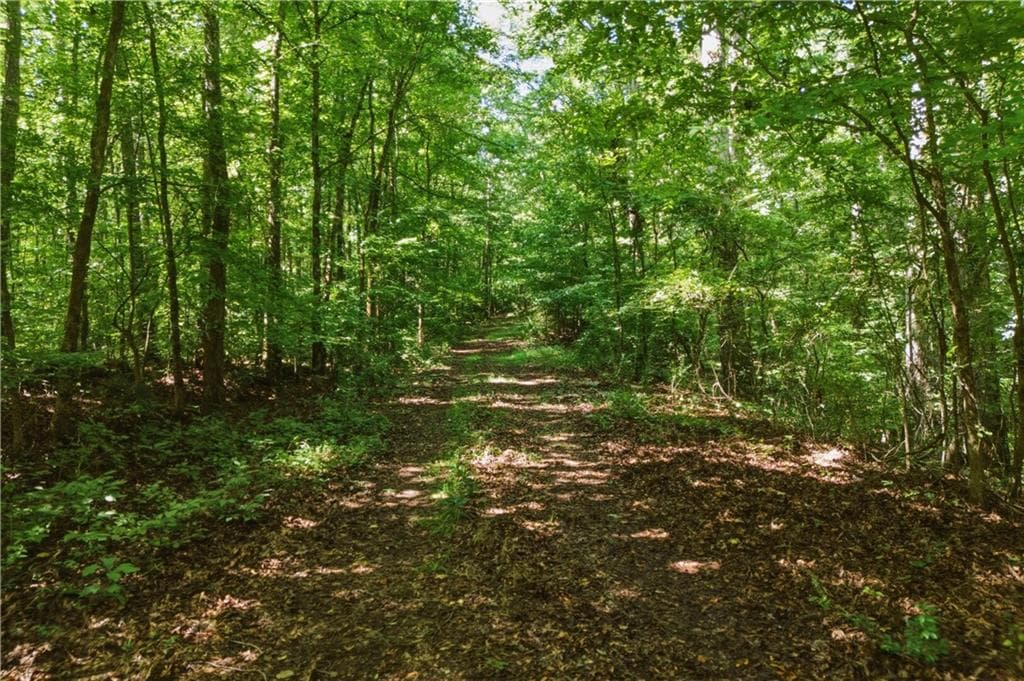 single family residence for sale at 3120 Highway 229, Mansfield, GA 30055 — photo 4
