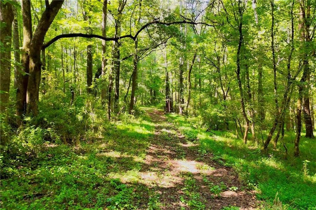 single family residence for sale at 3120 Highway 229, Mansfield, GA 30055 — photo 9
