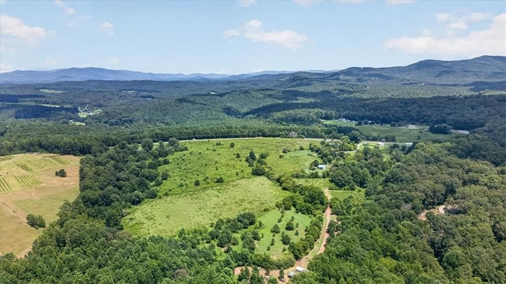 unimproved land for sale at 2627 Jones Mountain Road, Talking Rock, GA 30175 — photo 4