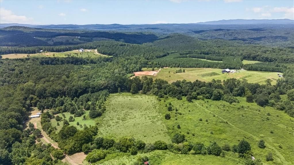 unimproved land for sale at 2627 Jones Mountain Road, Talking Rock, GA 30175 — photo 6