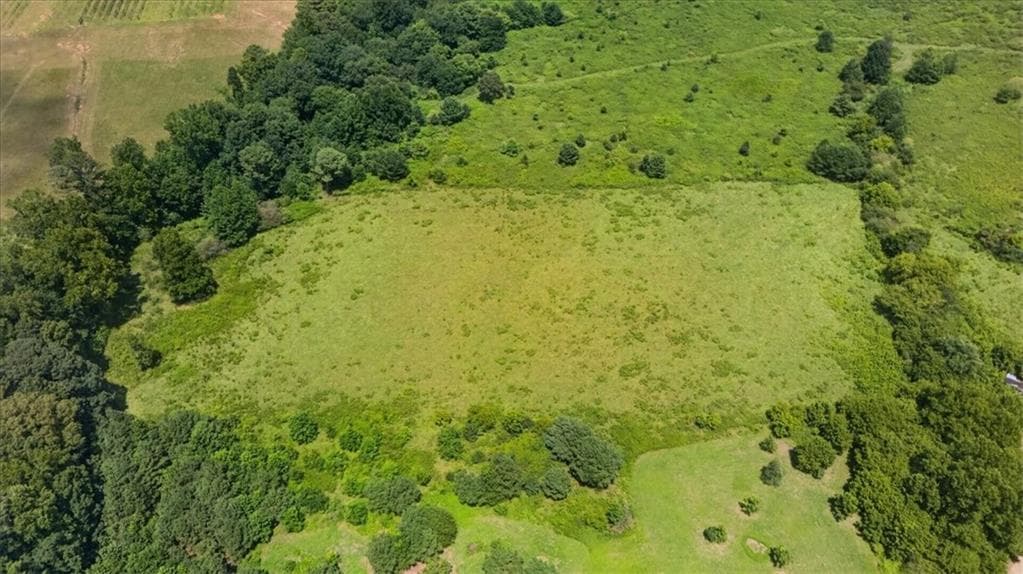 unimproved land for sale at 2627 Jones Mountain Road, Talking Rock, GA 30175 — photo 10