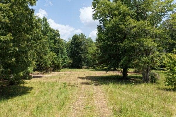 unimproved land under contract at 766 Flowery Branch Road, Kingston, GA 30145 — photo 3