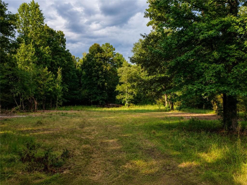 unimproved land under contract at 766 Flowery Branch Road, Kingston, GA 30145 — photo 4