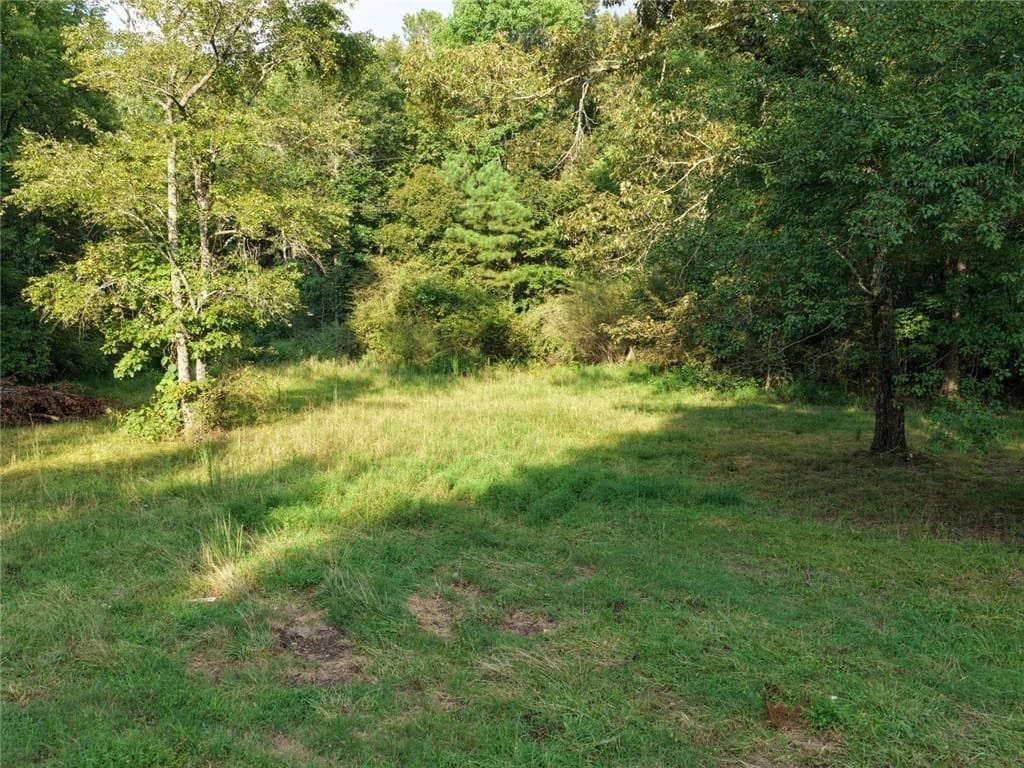 unimproved land under contract at 766 Flowery Branch Road, Kingston, GA 30145 — photo 7