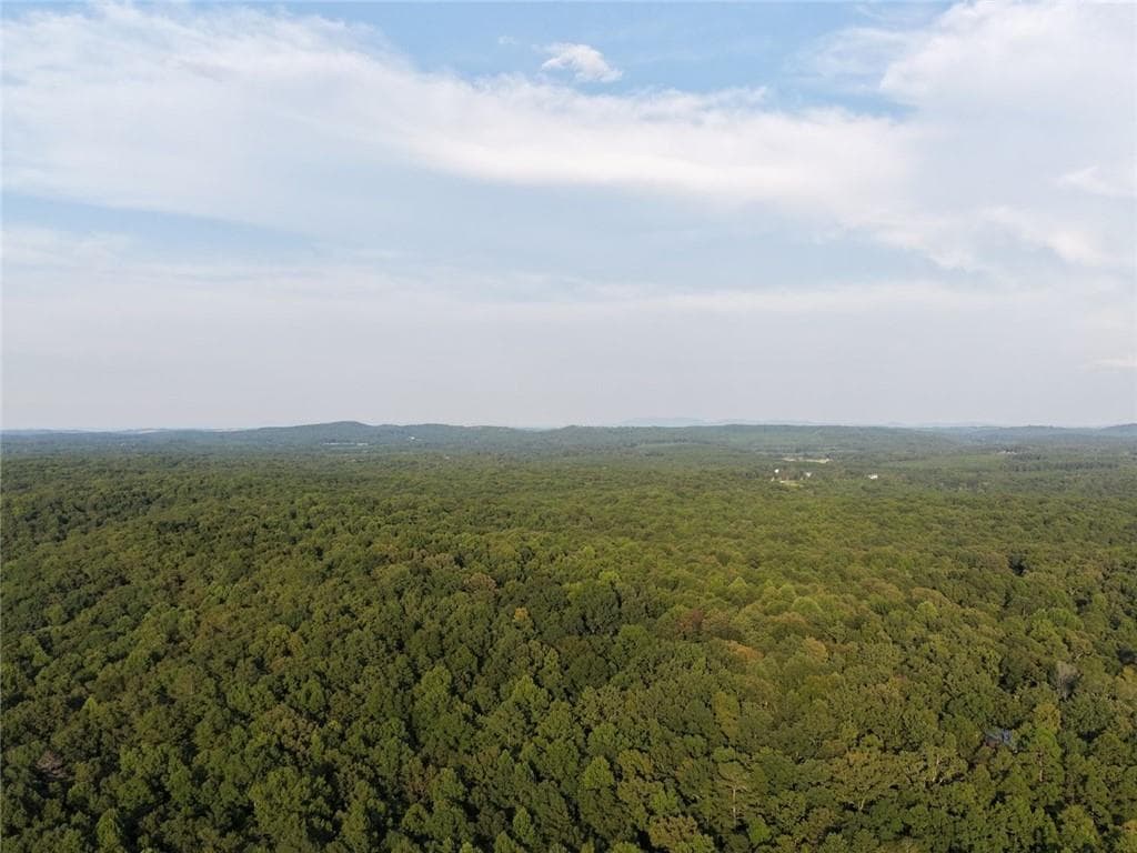 unimproved land under contract at 766 Flowery Branch Road, Kingston, GA 30145 — photo 10