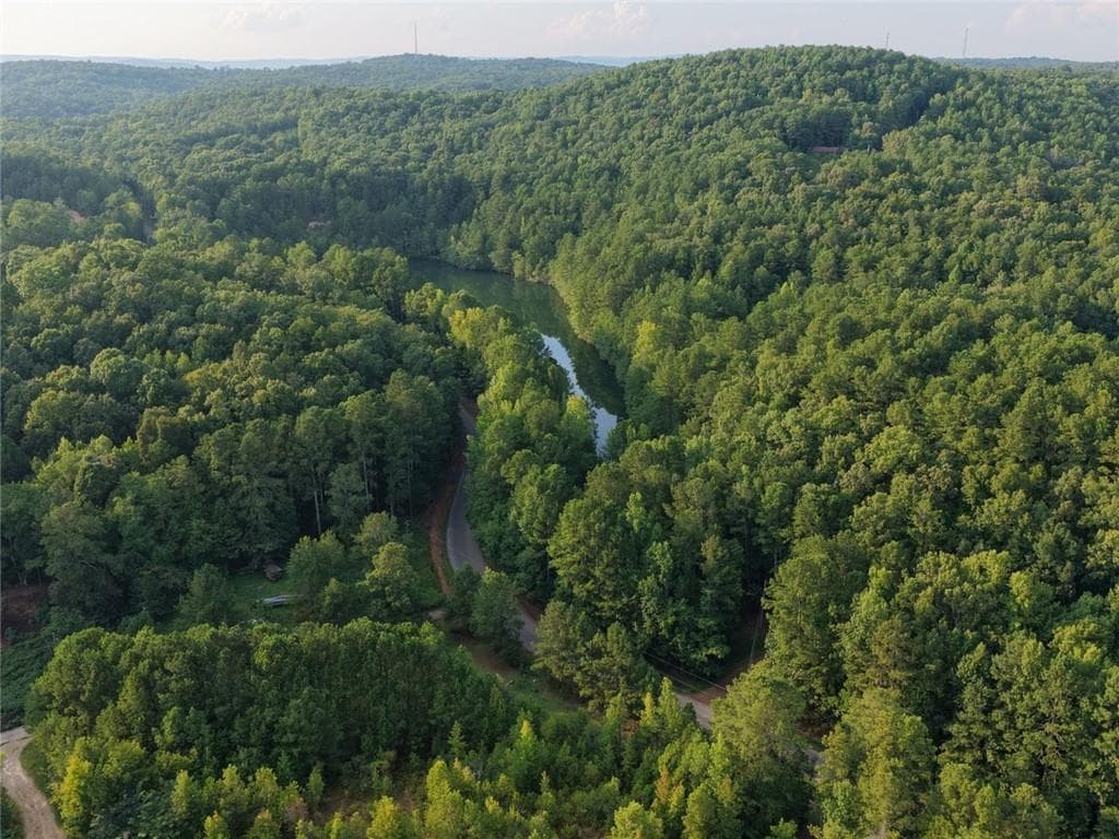 unimproved land under contract at 0 Flowery Branch Rd, Kingston, GA 30145 — photo 6