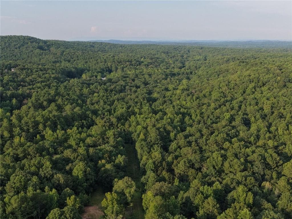 unimproved land under contract at 0 Flowery Branch Rd, Kingston, GA 30145 — photo 8