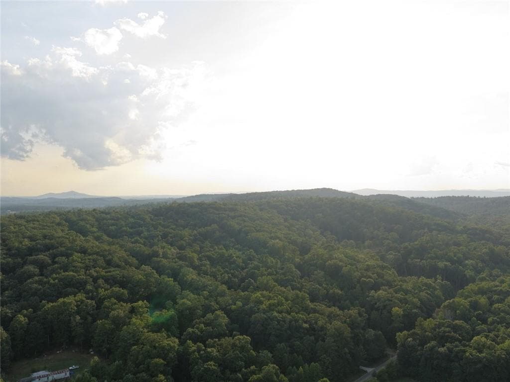 unimproved land under contract at 0 Flowery Branch Rd, Kingston, GA 30145 — photo 9