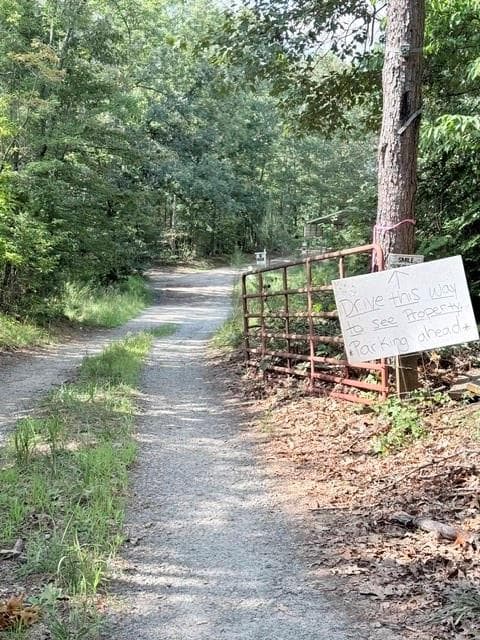 unimproved land for sale at 0 Rusty G Place, Dawsonville, GA 30534 — photo 6