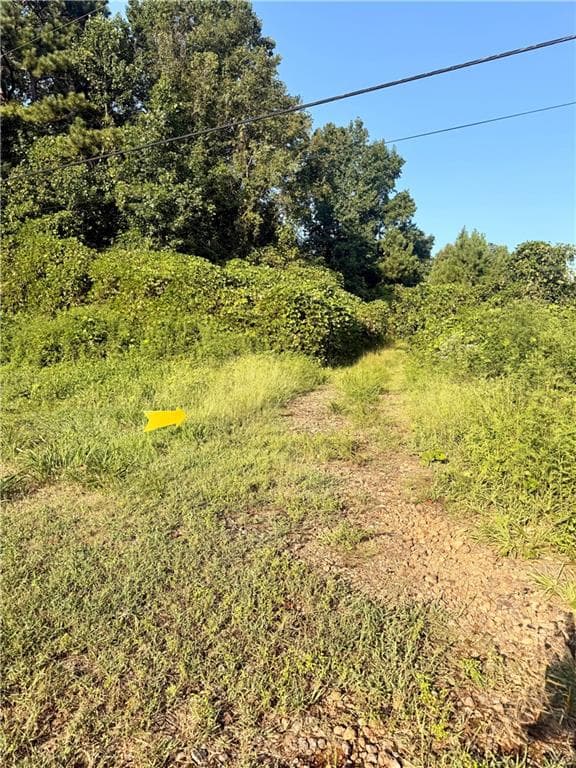 unimproved land for sale at 00 Mountain Top Road, Winston, GA 30187 — photo 2