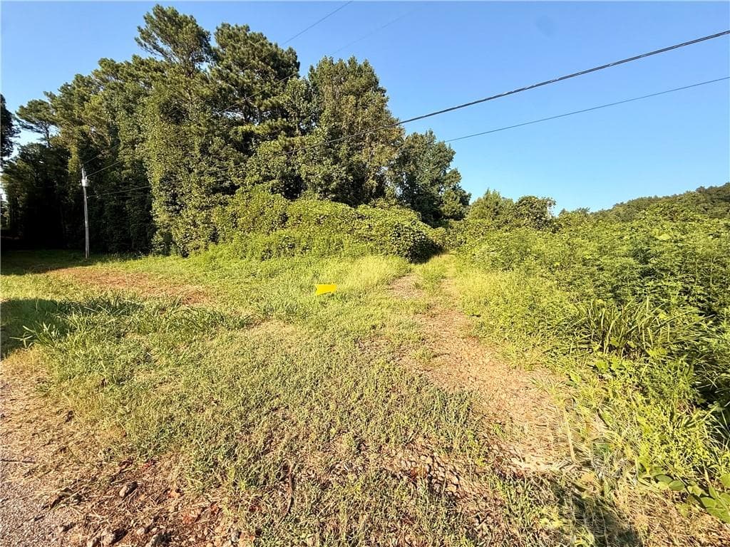 unimproved land for sale at 00 Mountain Top Road, Winston, GA 30187 — photo 3