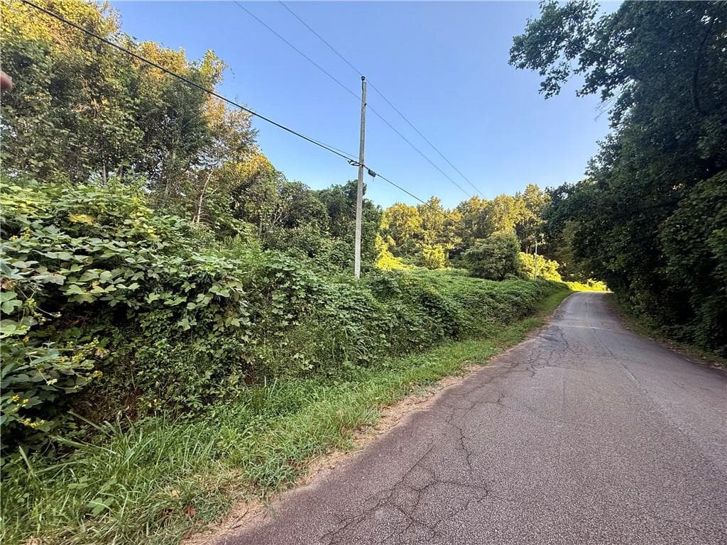 unimproved land for sale at 00 Mountain Top Road, Winston, GA 30187 — photo 4
