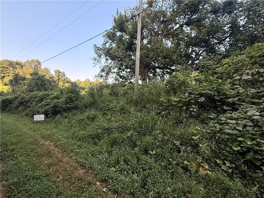 unimproved land for sale at 00 Mountain Top Road, Winston, GA 30187 — photo 5