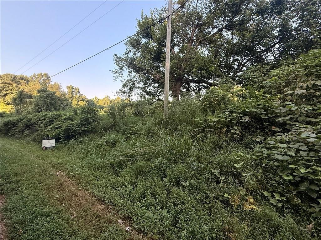 unimproved land for sale at 00 Mountain Top Road, Winston, GA 30187 — photo 6