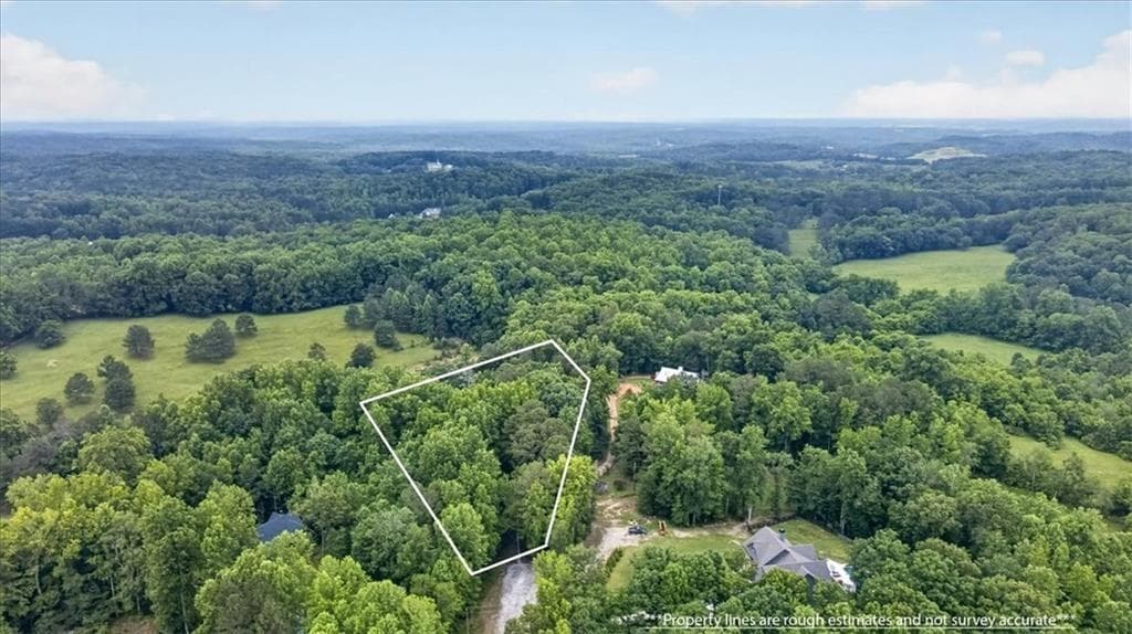 unimproved land for sale at 435 Sleepy Hollow Lane, Cumming, GA 30028 — photo 3