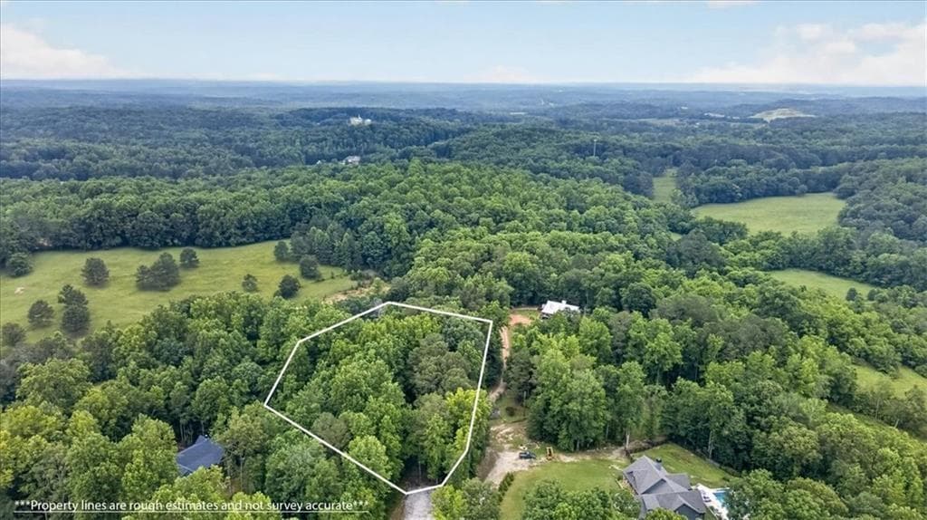 unimproved land for sale at 435 Sleepy Hollow Lane, Cumming, GA 30028 — photo 7