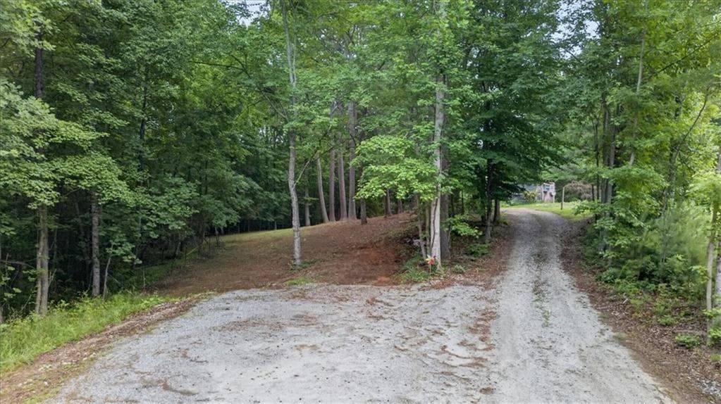 unimproved land for sale at 435 Sleepy Hollow Lane, Cumming, GA 30028 — photo 9