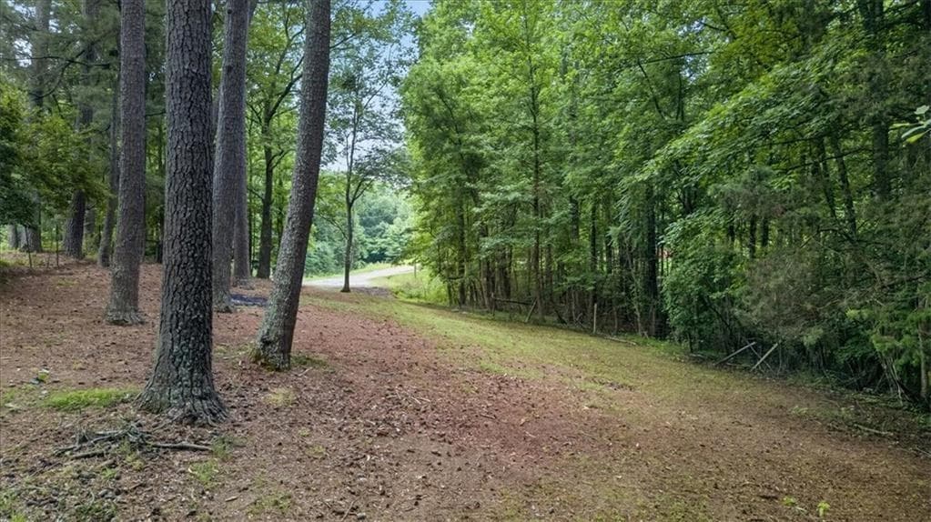 unimproved land for sale at 435 Sleepy Hollow Lane, Cumming, GA 30028 — photo 10