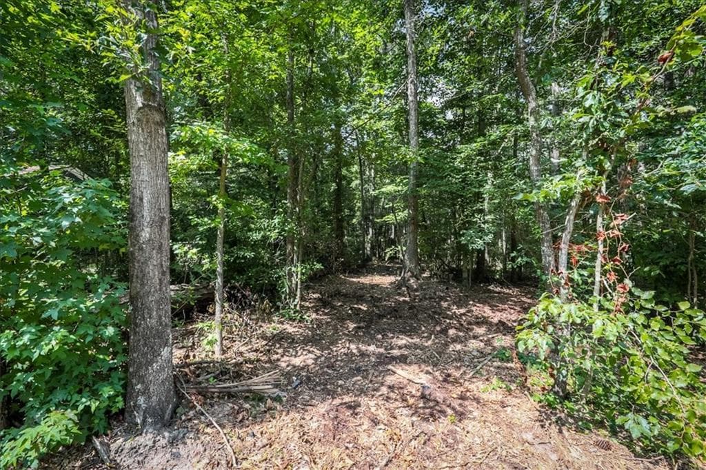 single family residence for sale at 3132 Macedonia Road, Powder Springs, GA 30127 — photo 2