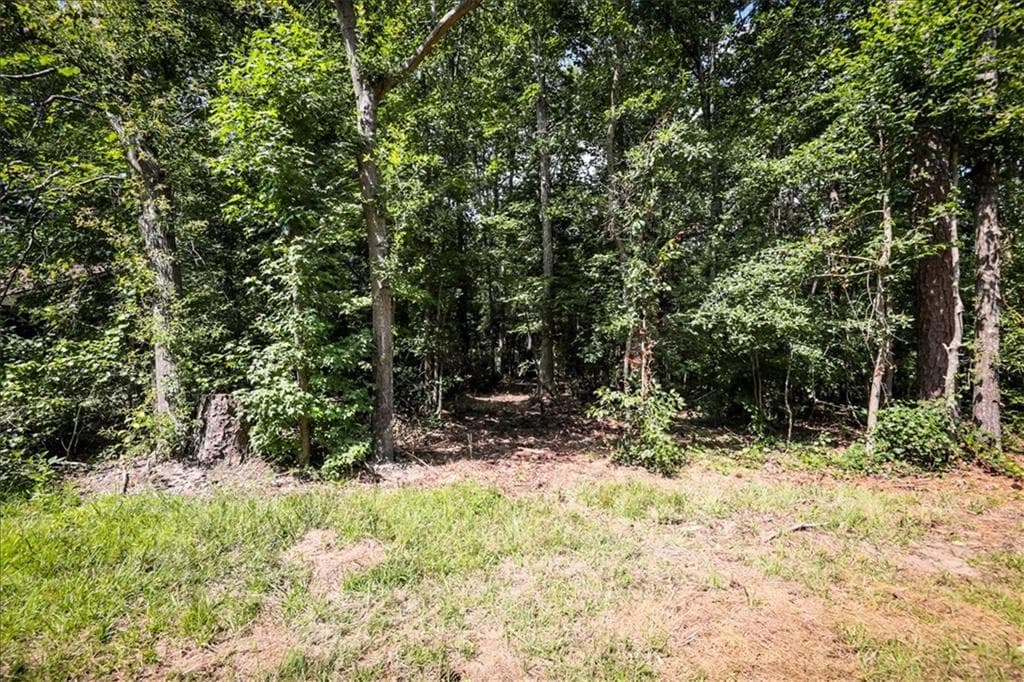 single family residence for sale at 3132 Macedonia Road, Powder Springs, GA 30127 — photo 3