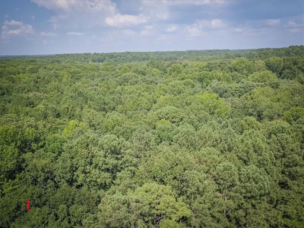 single family residence for sale at 3132 Macedonia Road, Powder Springs, GA 30127 — photo 8