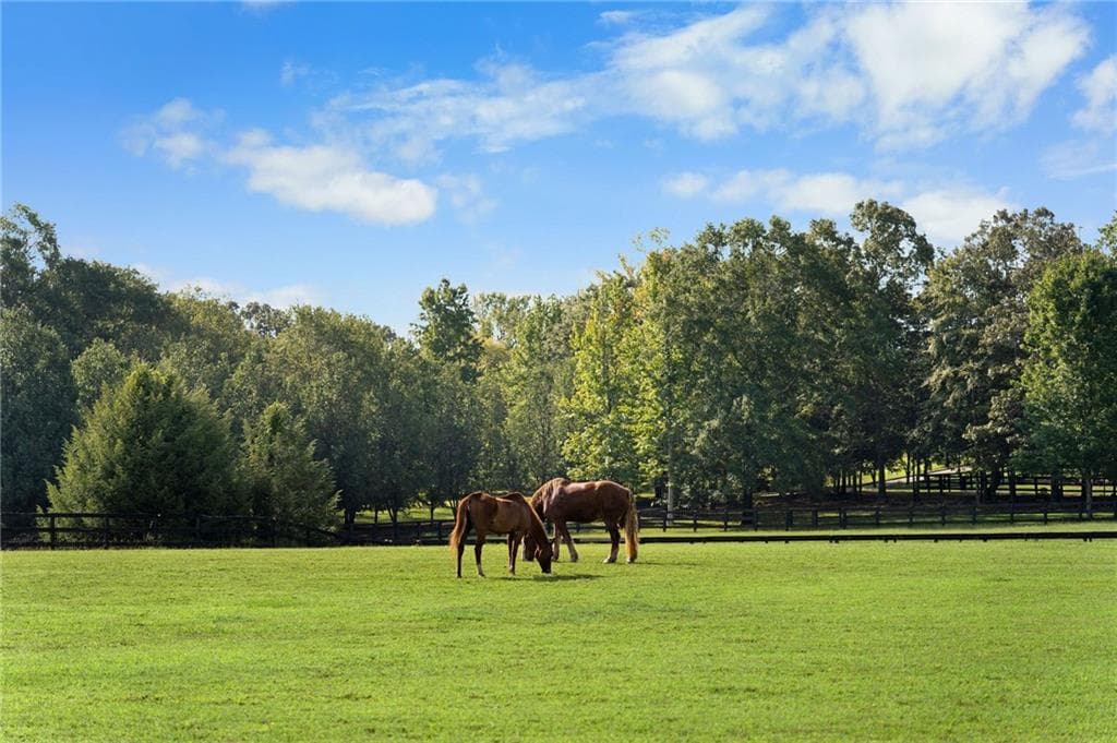 5 bedroom, 5 bathroom, 3,119 sq ft single family residence for sale at 75 Rivercreek Crossing, Kingston, GA 30145 — photo 4