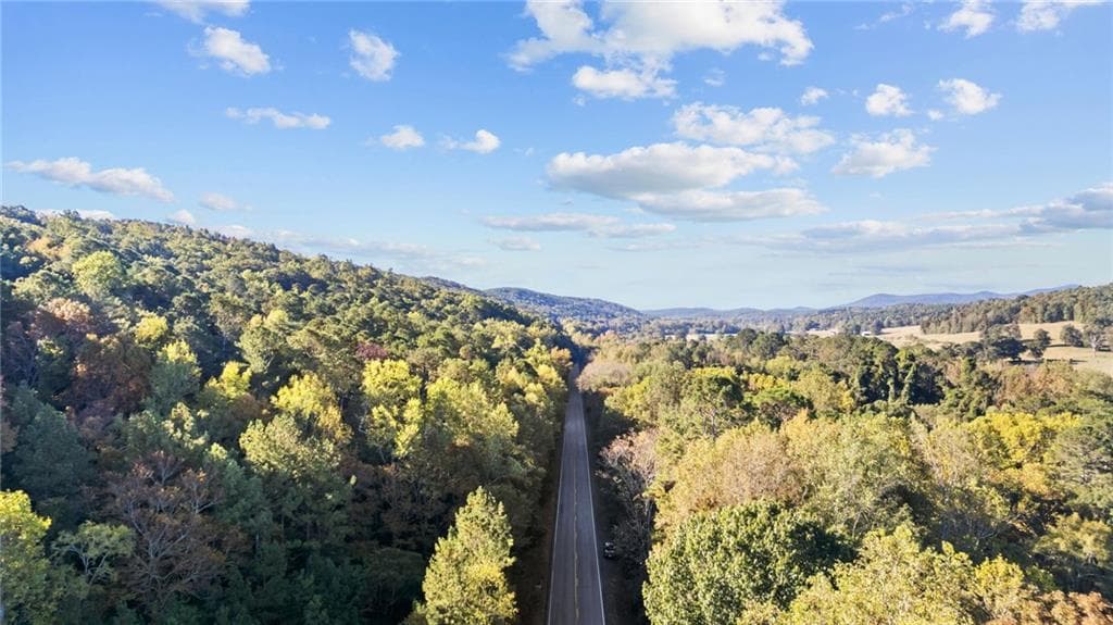 unimproved land for sale at 0 Mill Road, Cave Spring, GA 30124