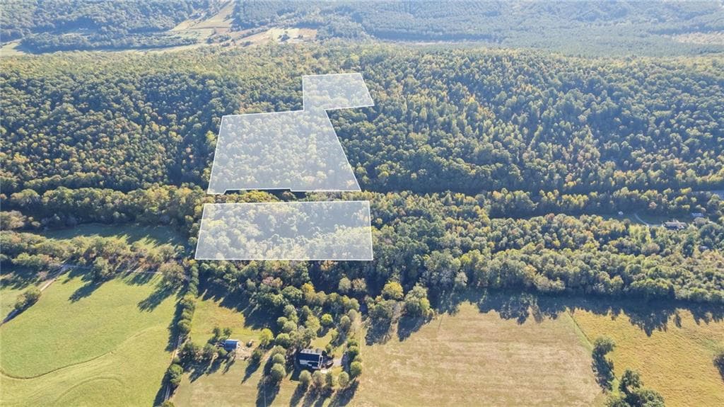 unimproved land for sale at 0 Mill Road, Cave Spring, GA 30124 — photo 3