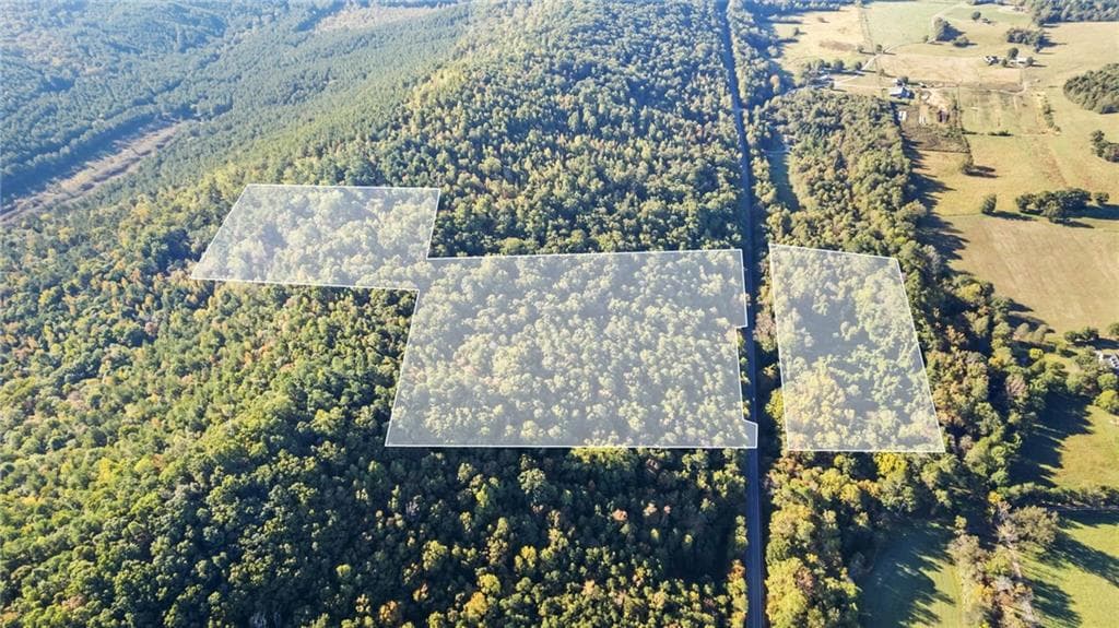 unimproved land for sale at 0 Mill Road, Cave Spring, GA 30124 — photo 6