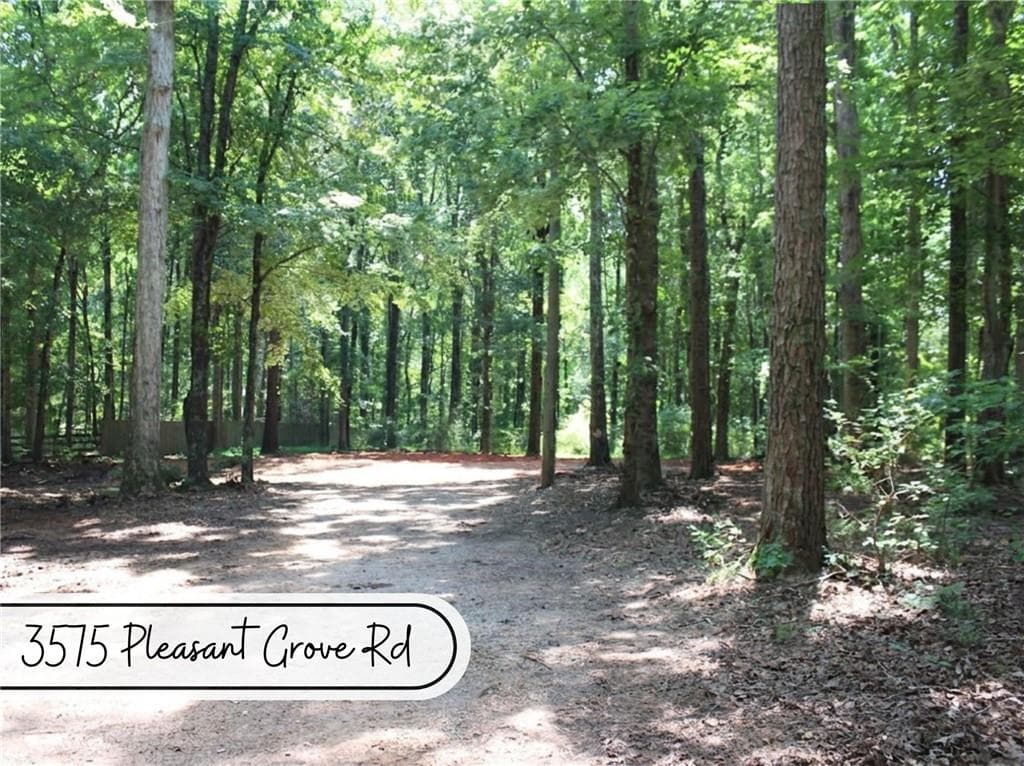 unimproved land for sale at 3575 Pleasant Grove Road, Cumming, GA 30028 — photo 1 of 21