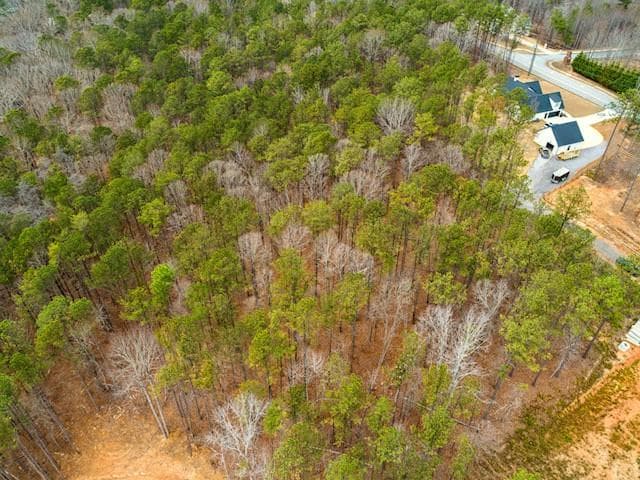 other for sale at 4243 Harmony Grove Church Road, Dallas, GA 30132 — photo 2