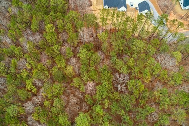 other for sale at 4243 Harmony Grove Church Road, Dallas, GA 30132 — photo 3