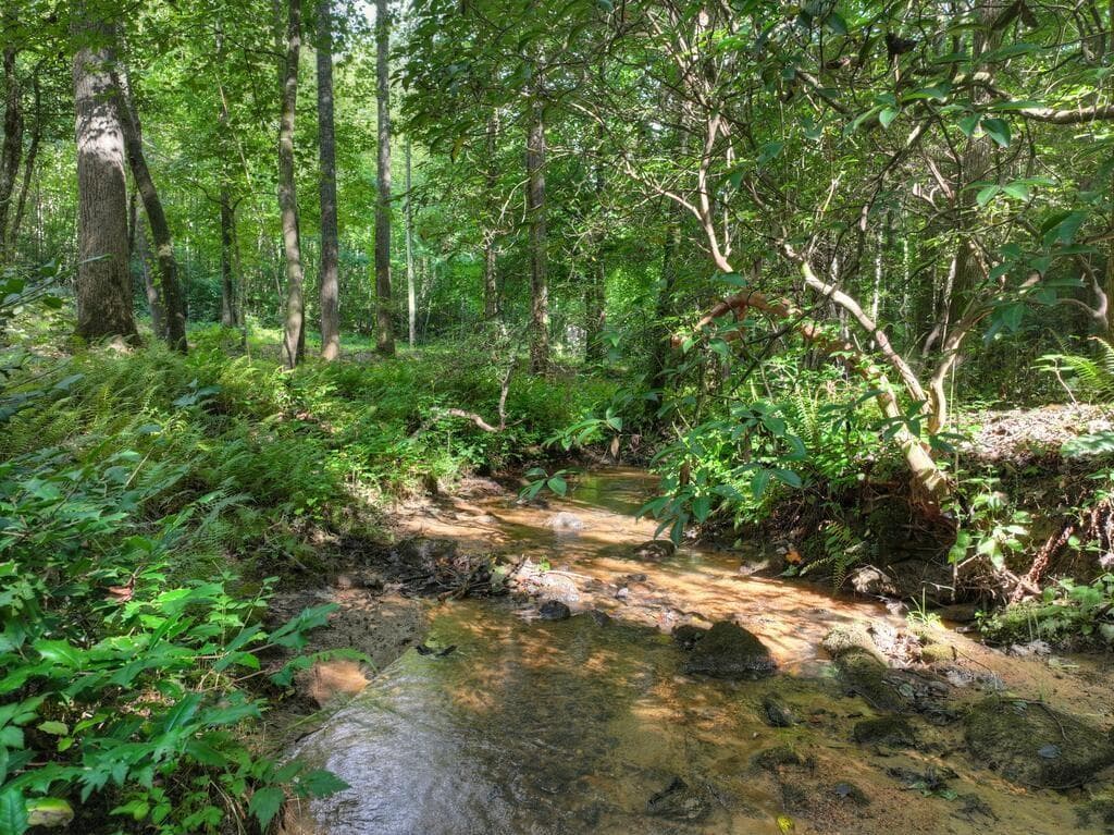 2 bedroom, 3 bathroom, 1,640 sq ft single family residence for sale at 685 Chopped Oak Road, Ellijay, GA 30540 — photo 5