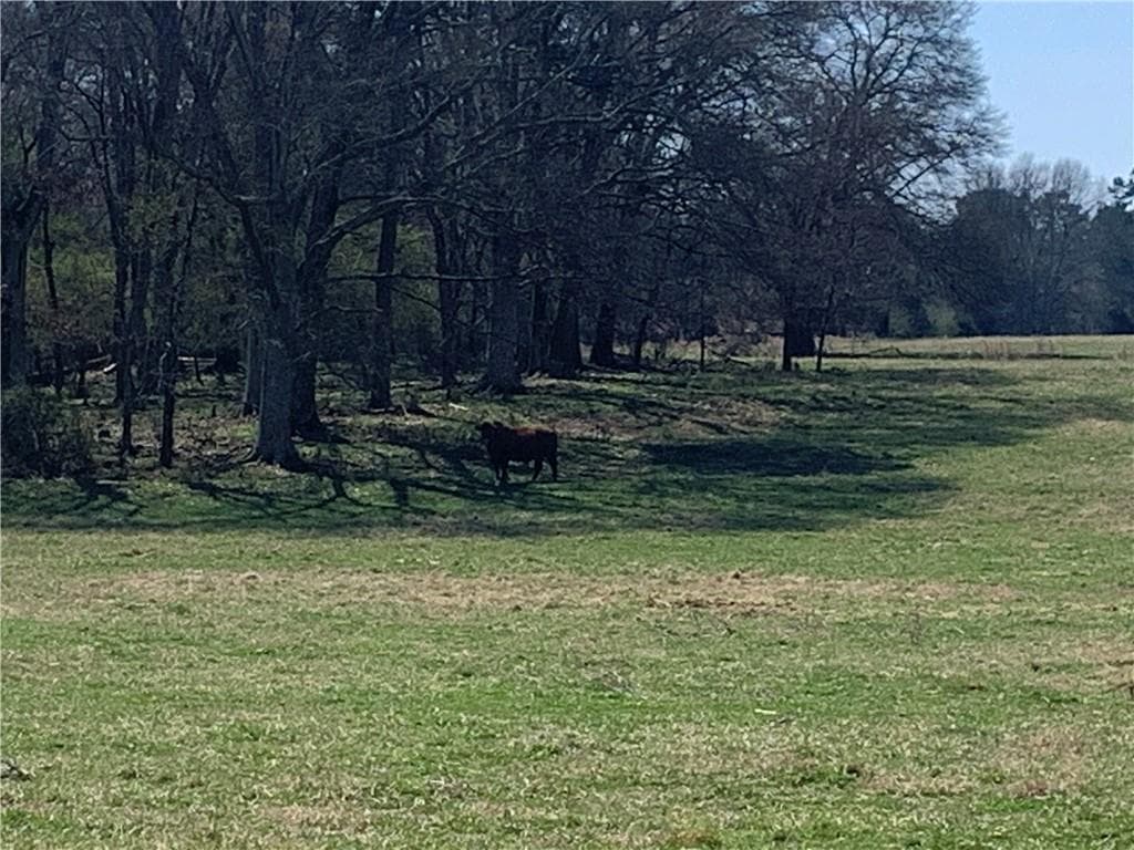 unimproved land under contract at 2491 Glenn Jackson Road, Statham, GA 30666 — photo 4