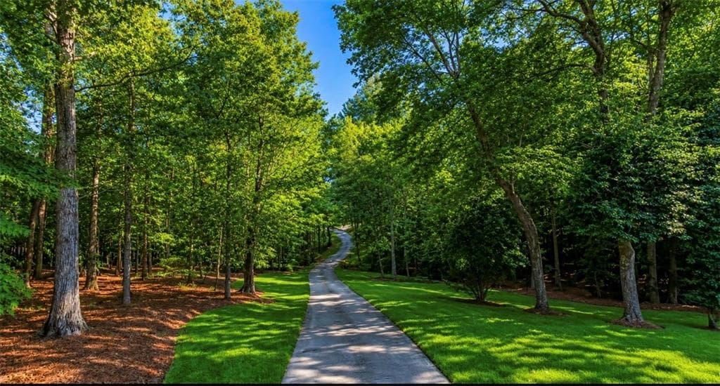 4 bedroom, 4 bathroom, 3,400 sq ft single family residence for sale at 345 Cherokee Drive, Bremen, GA 30110 — photo 4