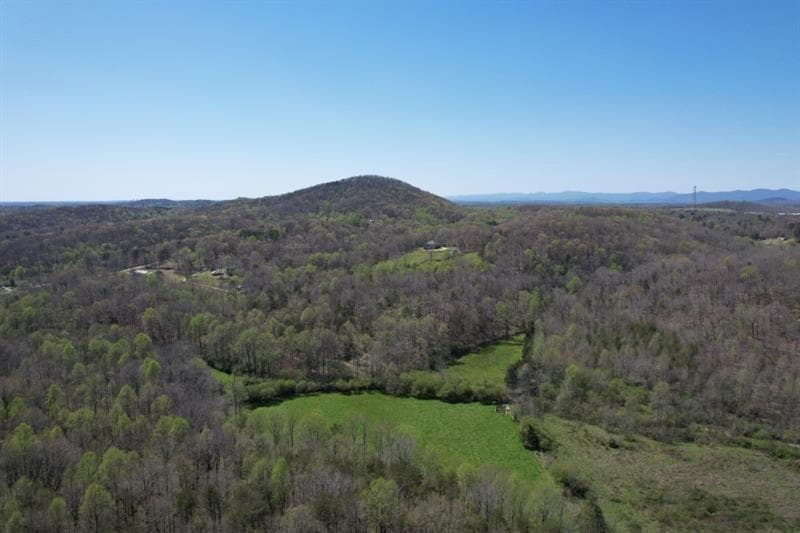 unimproved land for sale at 0 Post White Hill Road, Murrayville, GA 30564 — photo 2