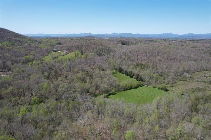 unimproved land for sale at 0 Post White Hill Road, Murrayville, GA 30564 — photo 3