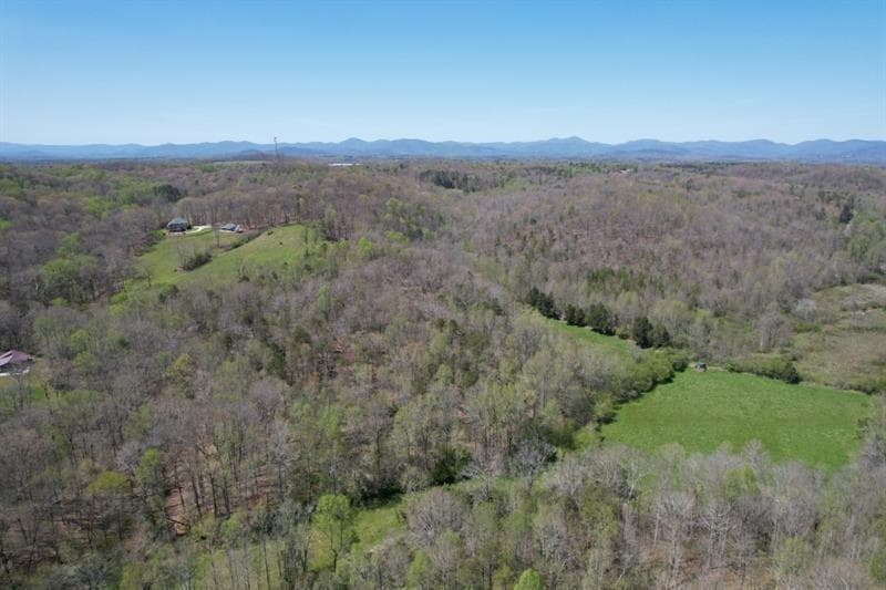 unimproved land for sale at 0 Post White Hill Road, Murrayville, GA 30564 — photo 4
