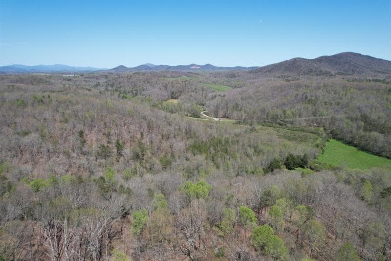 unimproved land for sale at 0 Post White Hill Road, Murrayville, GA 30564 — photo 5
