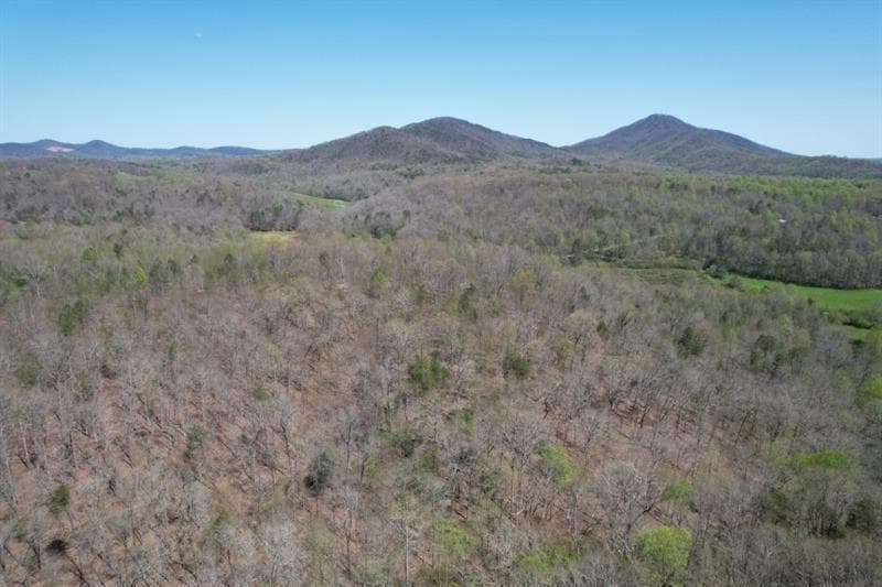 unimproved land for sale at 0 Post White Hill Road, Murrayville, GA 30564 — photo 7