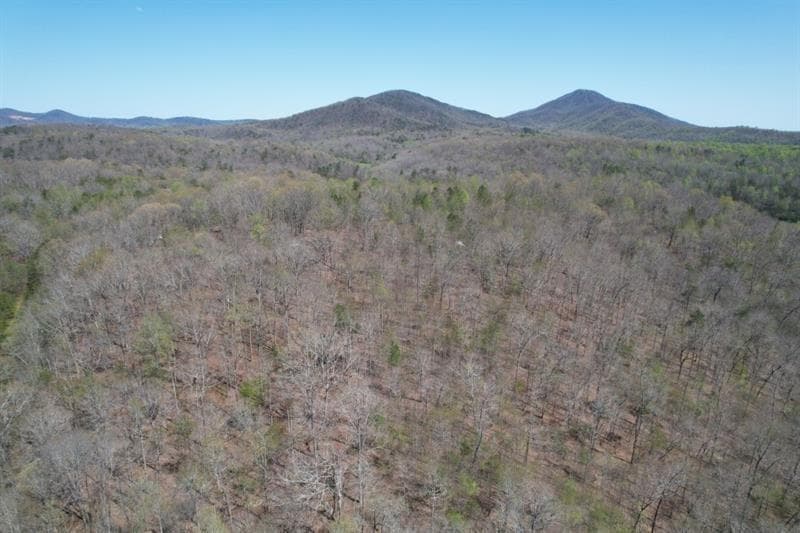unimproved land for sale at 0 Post White Hill Road, Murrayville, GA 30564 — photo 8