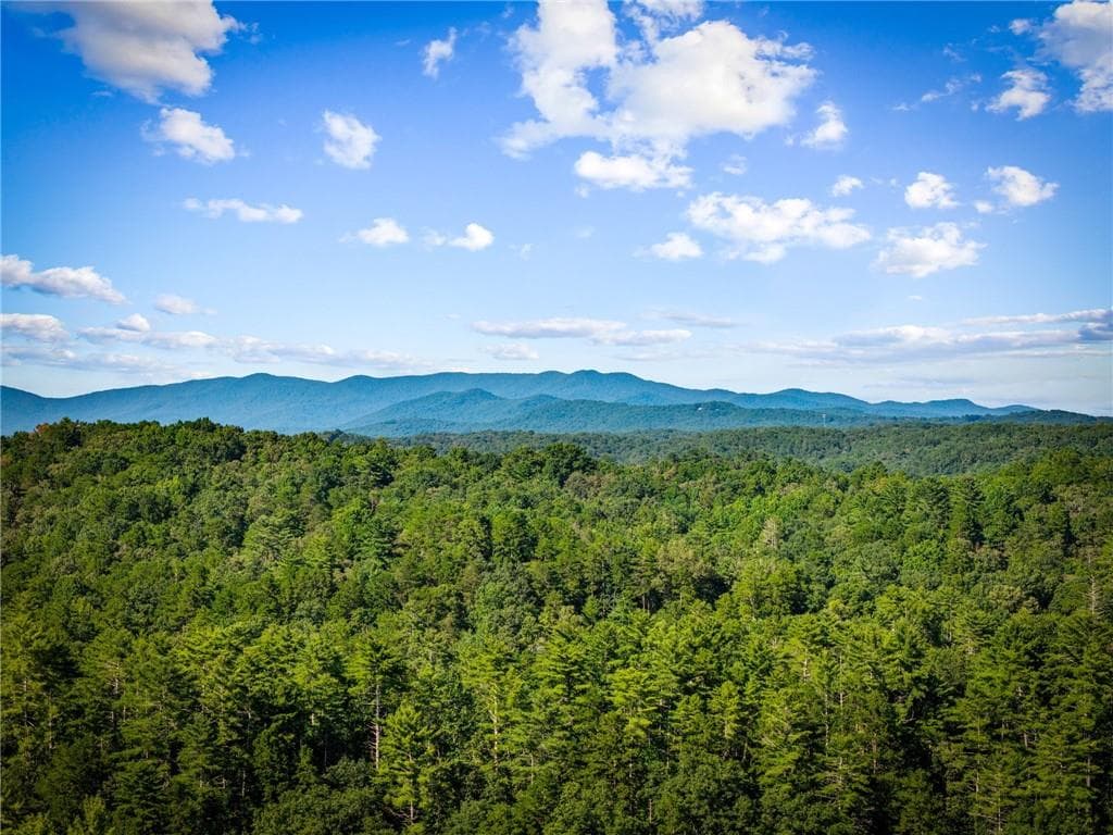4 bedroom, 4 bathroom, 2,616 sq ft single family residence for sale at 107 Fish Tale Cove, Ellijay, GA 30540 — photo 2