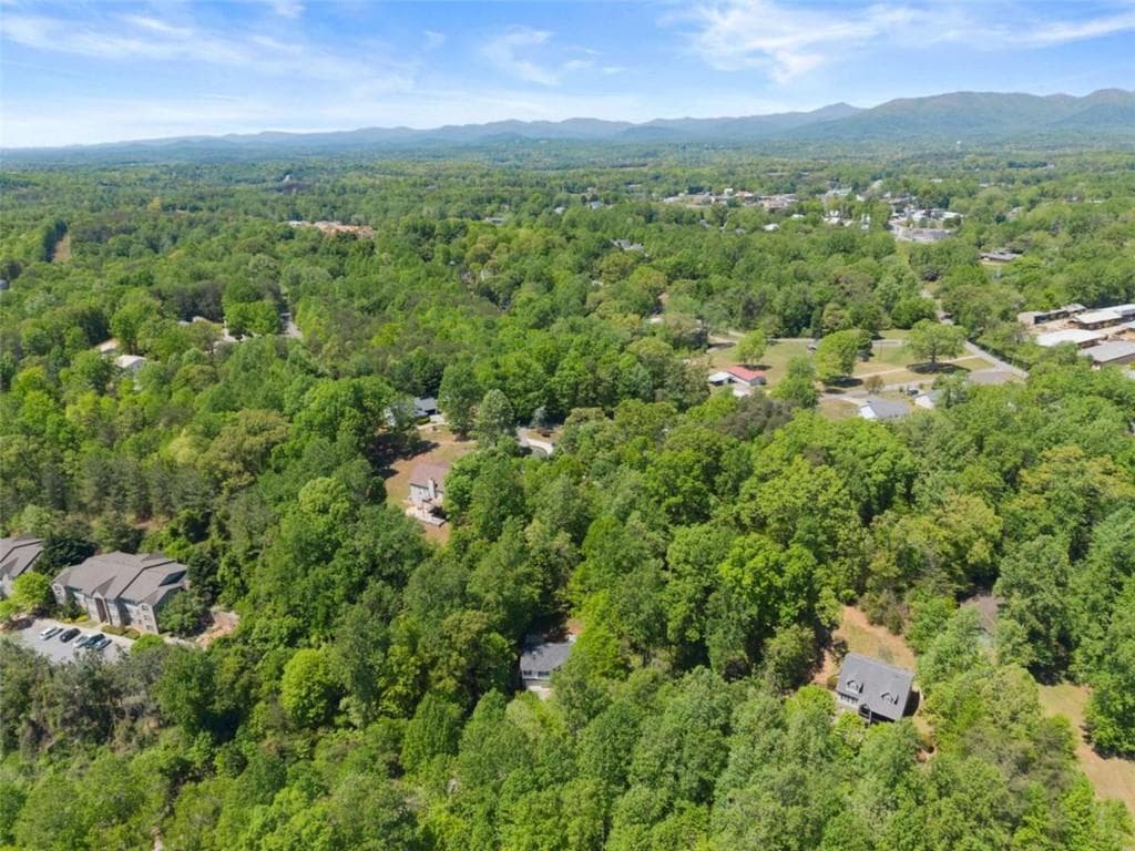 3 bedroom, 3 bathroom, 2,168 sq ft single family residence for sale at 162 Greenview Court, Cleveland, GA 30528 — photo 7