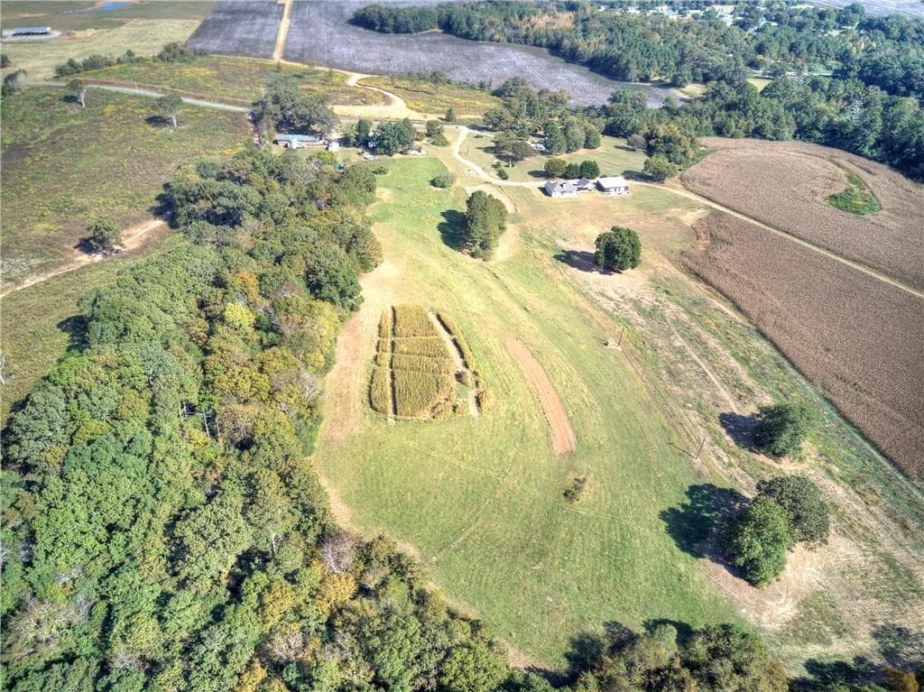 unimproved land for sale at 0 Taff Road, Taylorsville, GA 30178 — photo 2