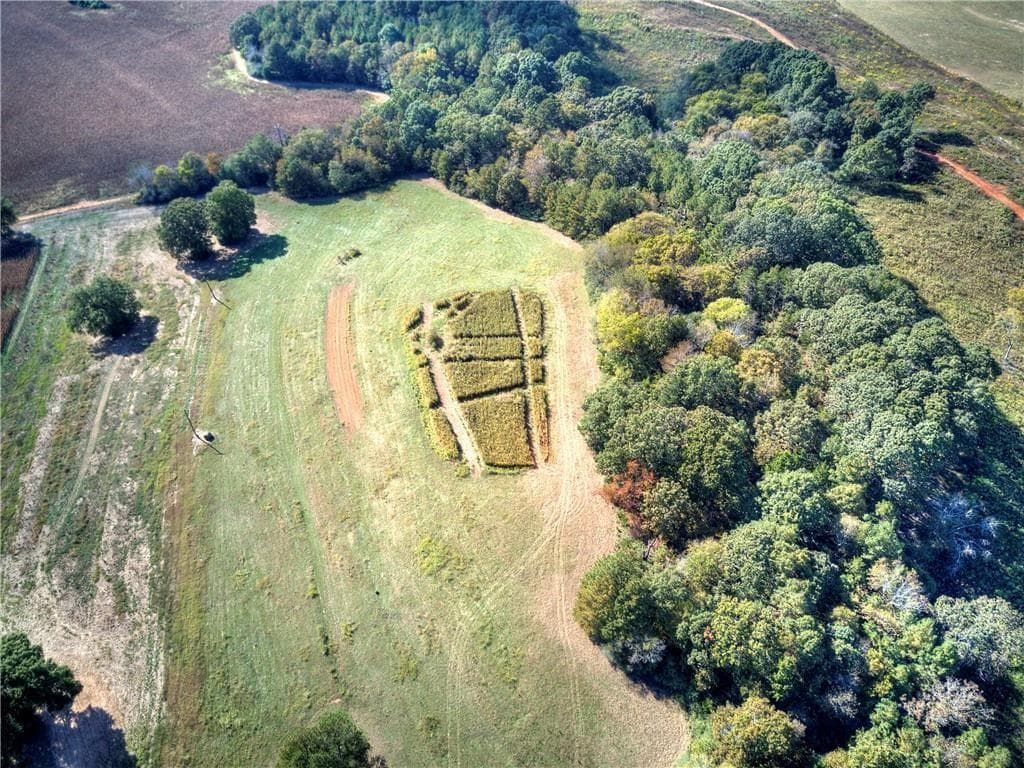 unimproved land for sale at 0 Taff Road, Taylorsville, GA 30178 — photo 4